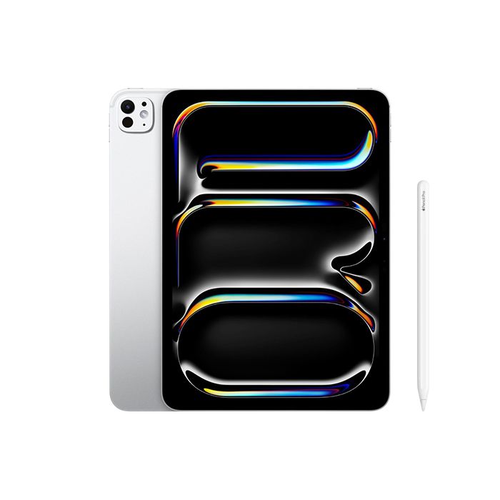 Apple iPad Pro M4 11.0 256 5G